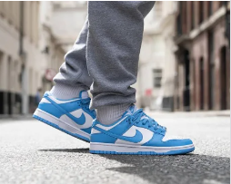 SB Dunk Low - Coast University blue